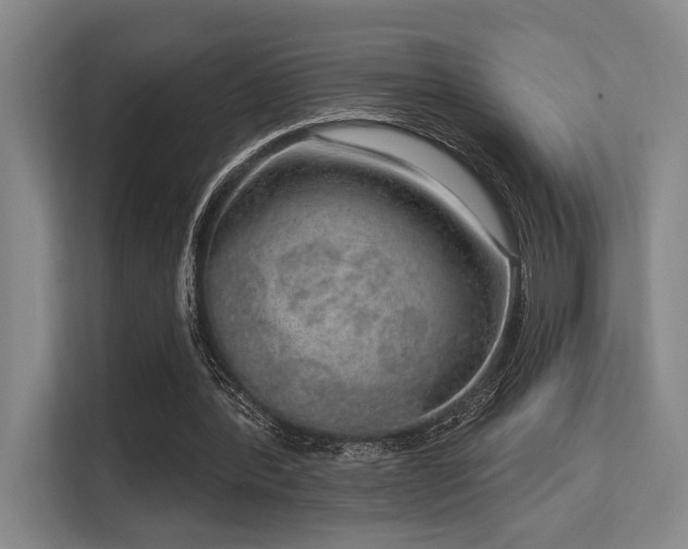 X0000113630388200909181521