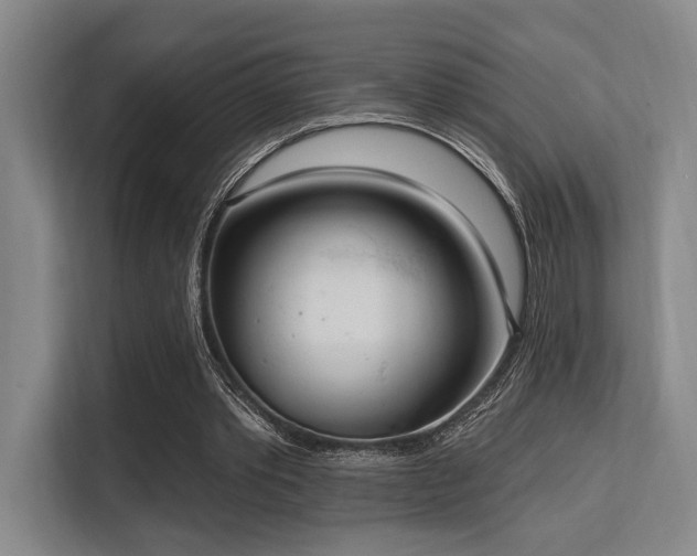 X0000113630389200909181521