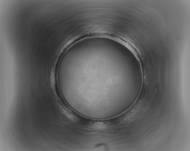 X0000113630390200909181521