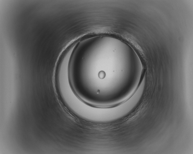 X0000113630391200909181521