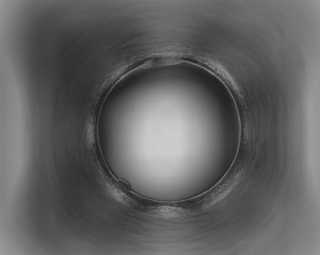 X0000113630393200909181521
