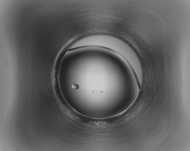 X0000113630395200909181521