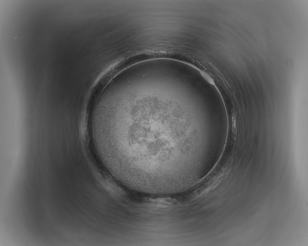 X0000113630396200909181521