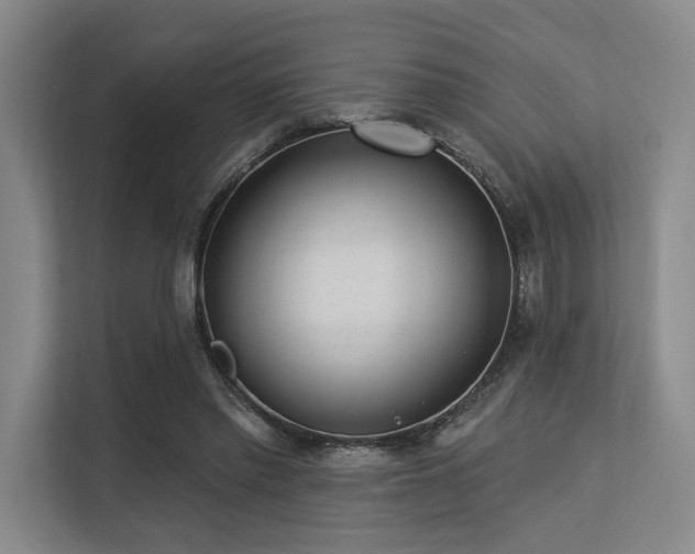 X0000113630397200909181521