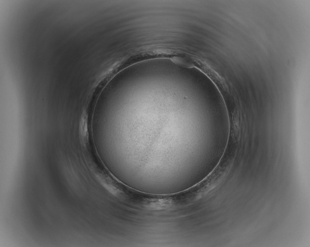X0000113630398200909181521