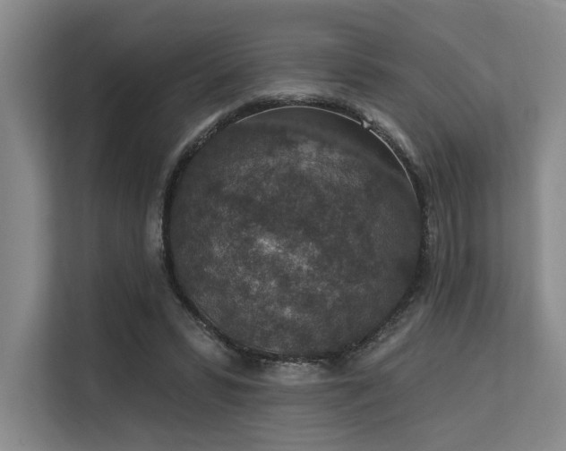 X0000113630399200909181521