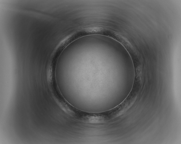 X0000113630400200909181521
