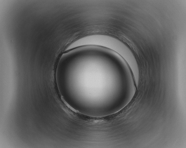 X0000113630401200909181521