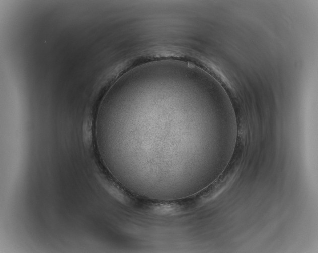 X0000113630402200909181521