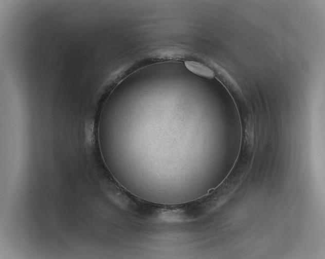 X0000113630403200909181521