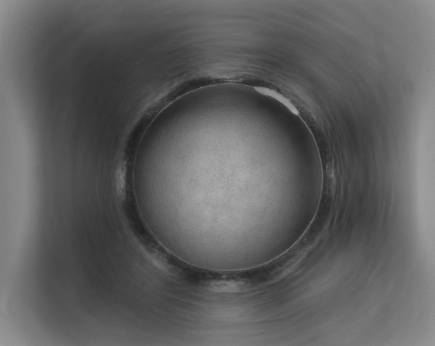 X0000113630404200909181521