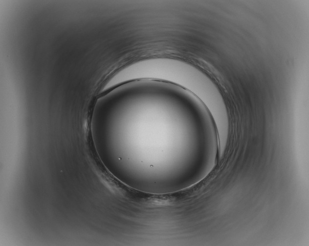 X0000113630405200909181520