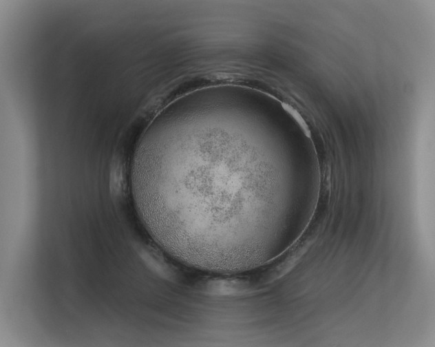 X0000113630408200909181520