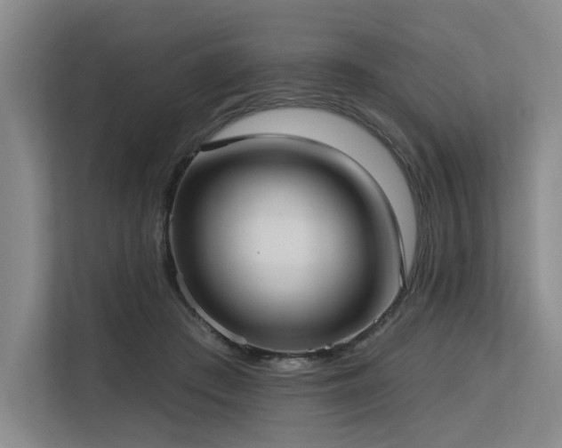 X0000113630409200909181520
