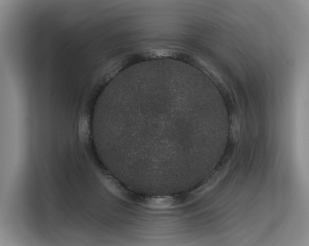 X0000113630410200909181520