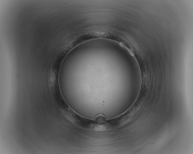 X0000113630412200909181520