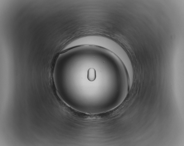 X0000113630415200909181520