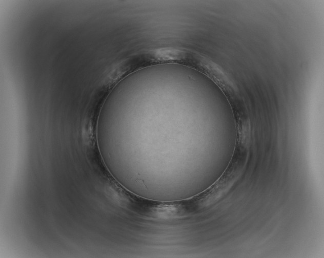 X0000113630418200909181520