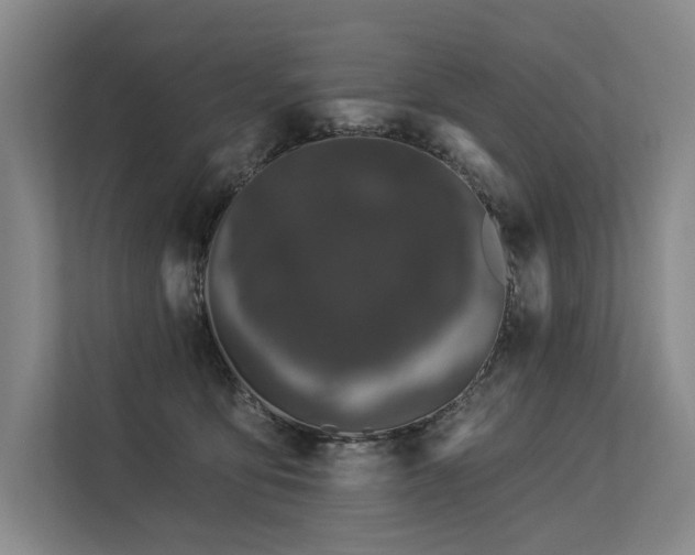 X0000113630419200909181520