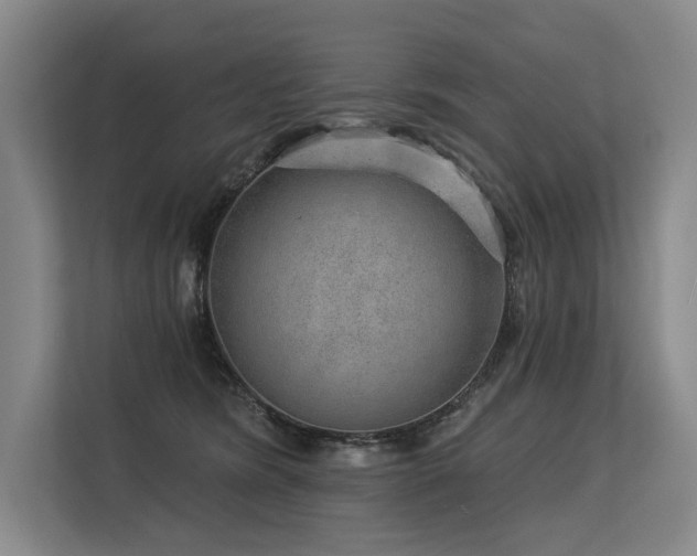 X0000113630420200909181520