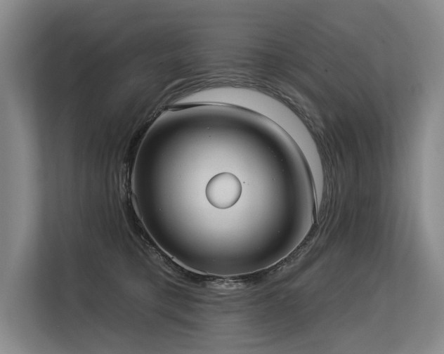 X0000113630421200909181520