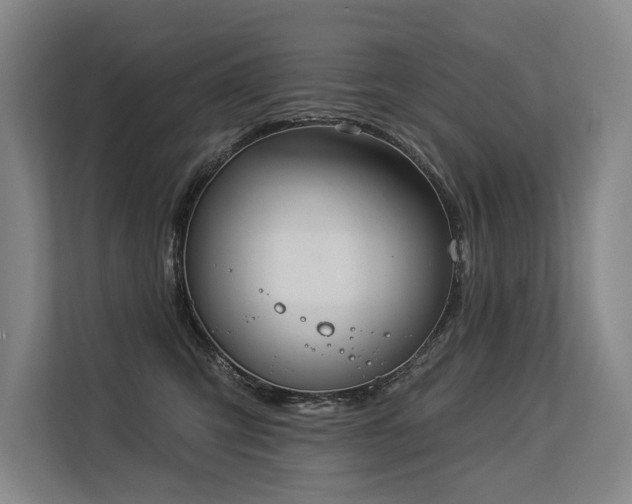 X0000113630423200909181520