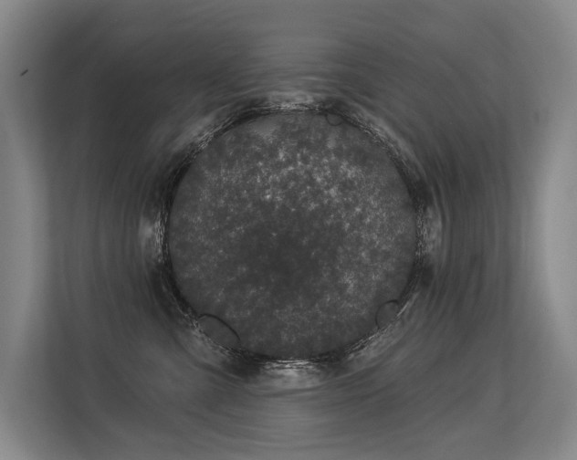 X0000113630427200909181520