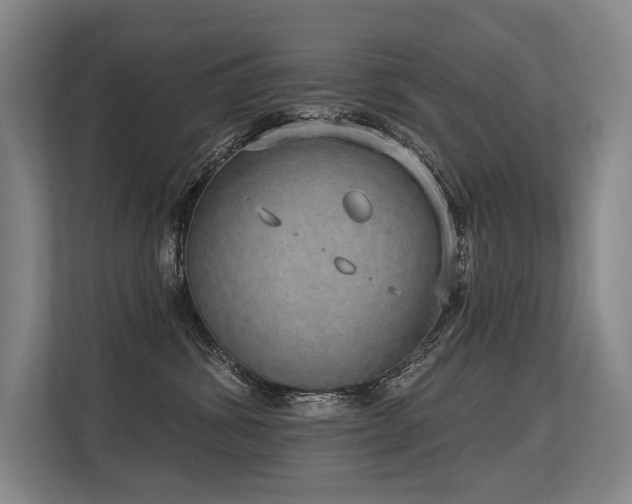 X0000113630428200909181520