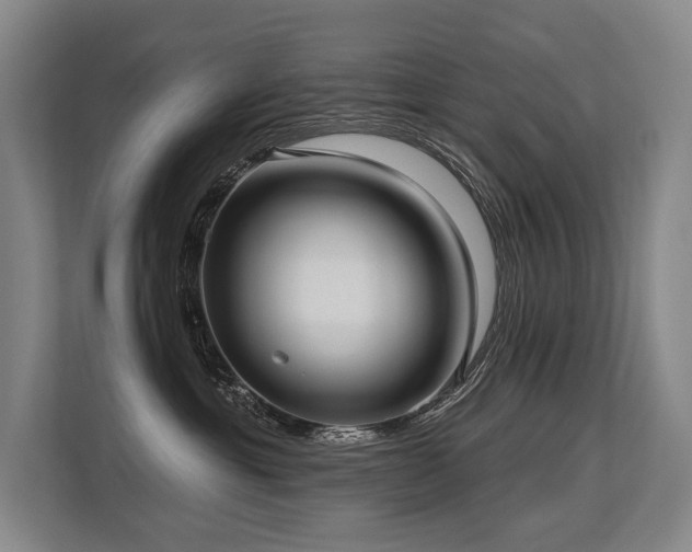 X0000113630429200909181520