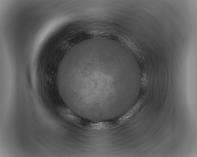 X0000113630430200909181520