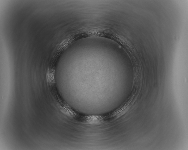 X0000113630432200909181520