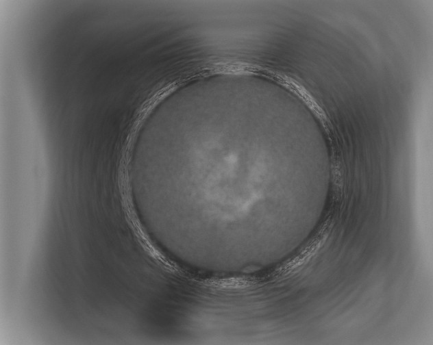 X0000113630433200909181520