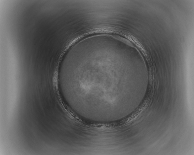 X0000113630434200909181520