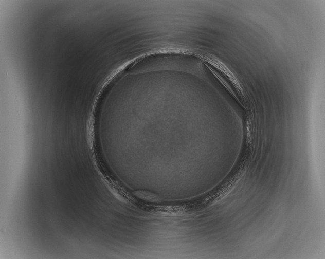 X0000113630436200909181520