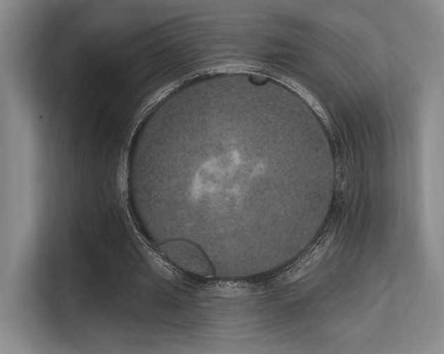 X0000113630437200909181520