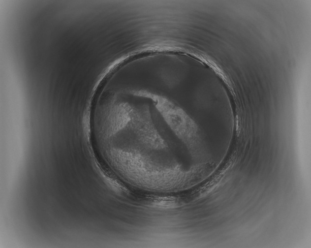 X0000113630438200909181520