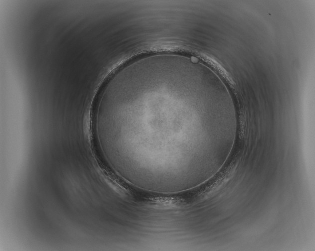 X0000113630439200909181520