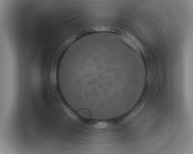 X0000113630441200909181520