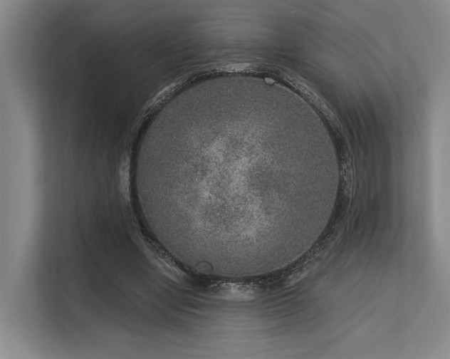 X0000113630442200909181520