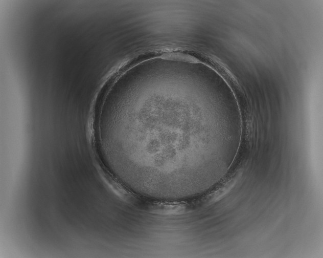 X0000113630443200909181520
