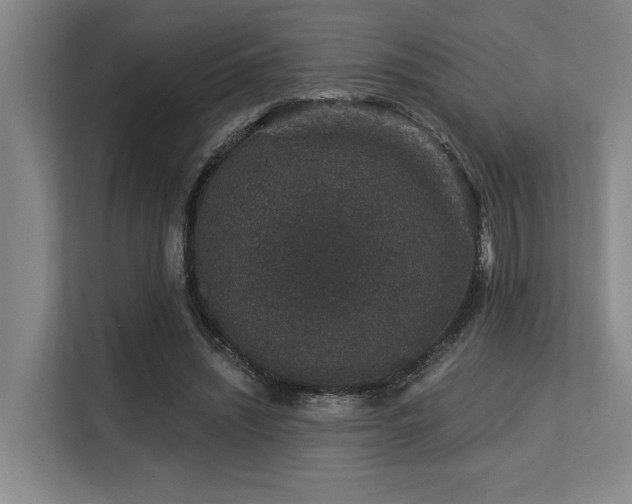 X0000113630444200909181520