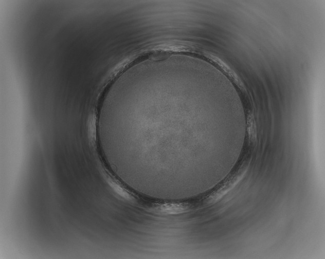 X0000113630445200909181520