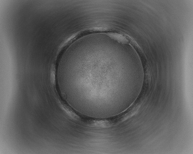X0000113630446200909181520
