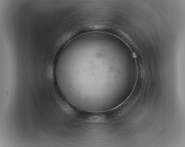 X0000113630447200909181520