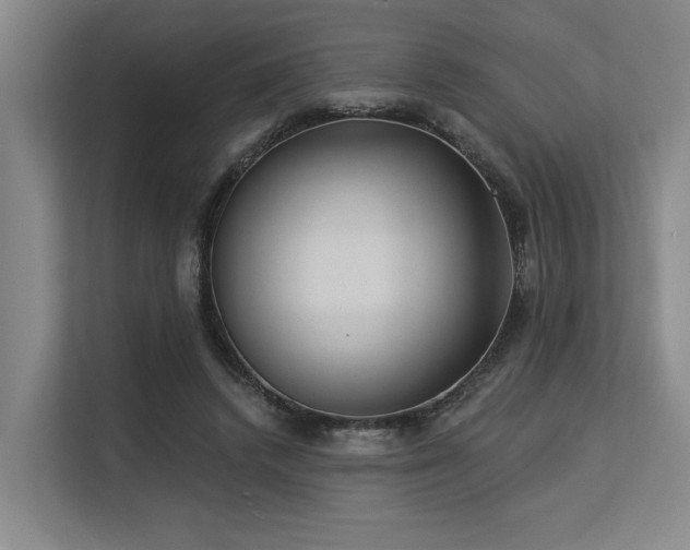 X0000113630448200909181520