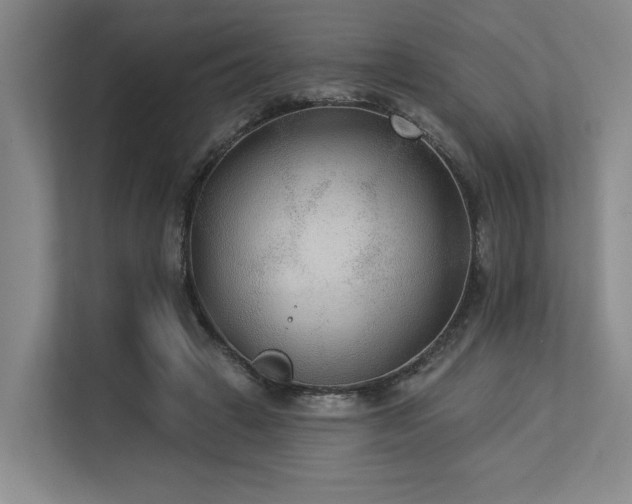 X0000113630449200909181520