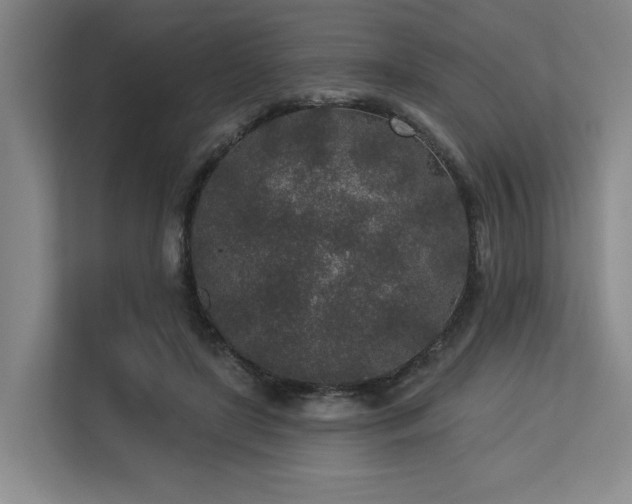 X0000113630451200909181520