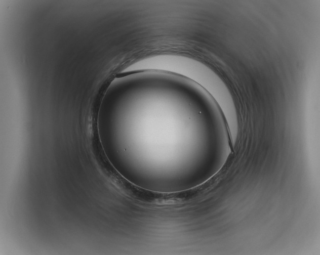 X0000113630452200909181520
