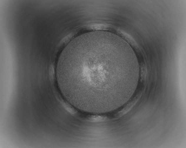 X0000113630453200909181520