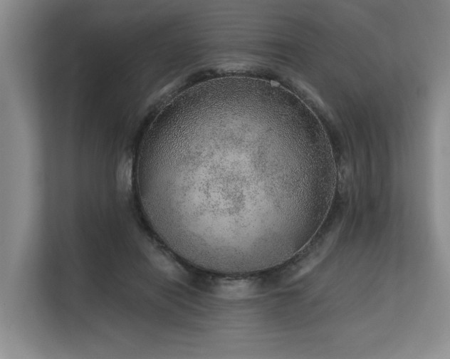 X0000113630454200909181520